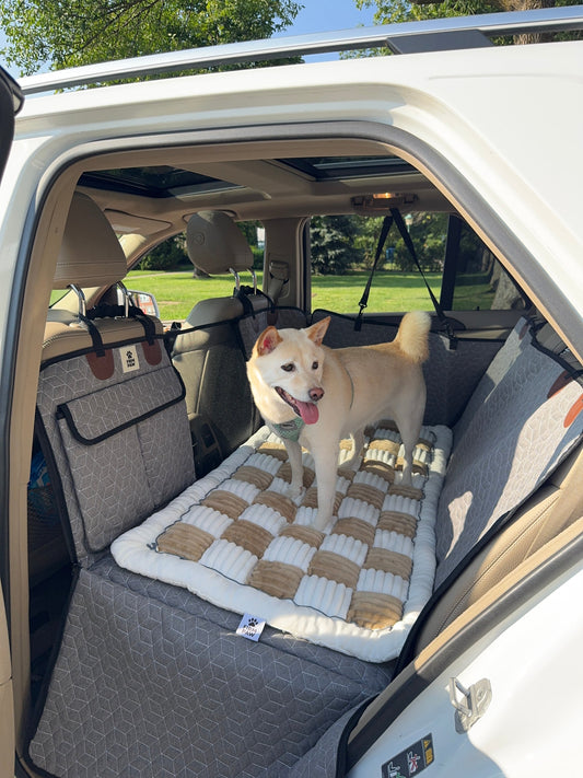 CaniDrive – La solution pour voyager en sécurité avec son chien sans ruiner sa voiture.